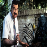 Goredadead