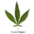 Ruderalis