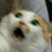 IvanderC4D