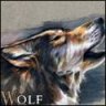MalteseWolf
