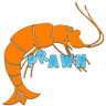 Prawn
